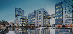 Why do business in Dubai